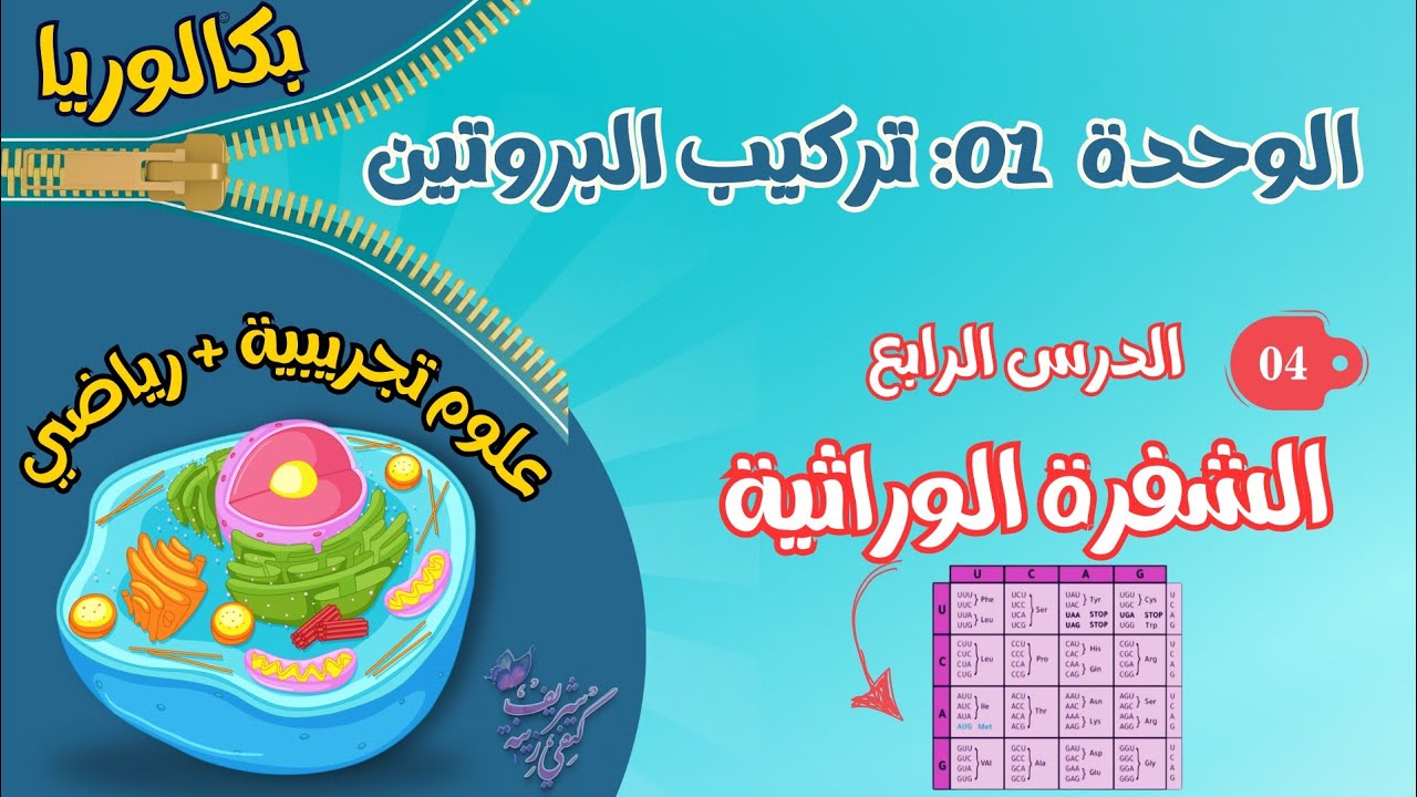 الدرس 4:الشفرة الوراثية/كيفية قراءة جدول الشفرة+أفكار للتمارين💪تفهم بالسيف
