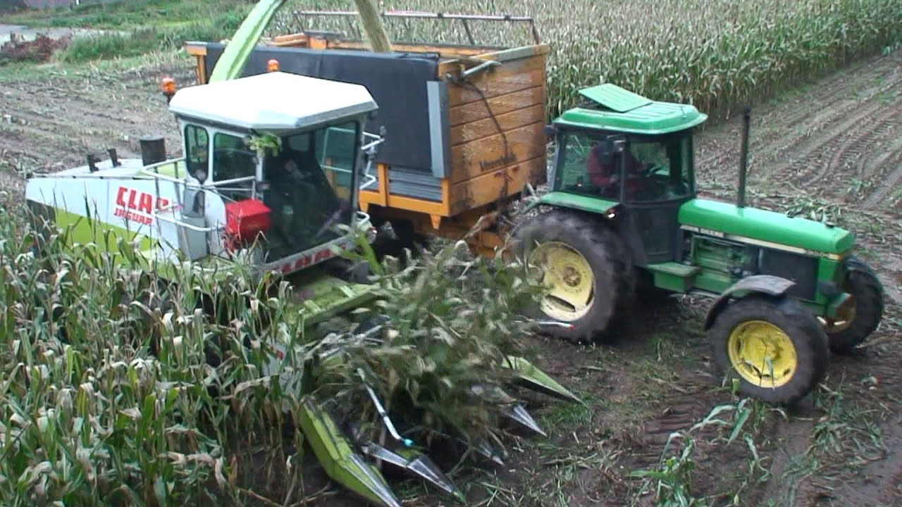 Mais hakselen in Saasveld