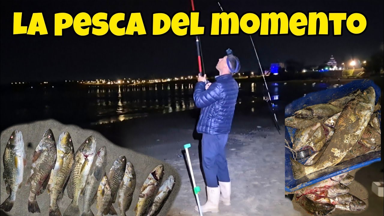 COMENZÓ LA PESCA MÁS ESPERADA DE COSTA, PESCA NOCTURNA