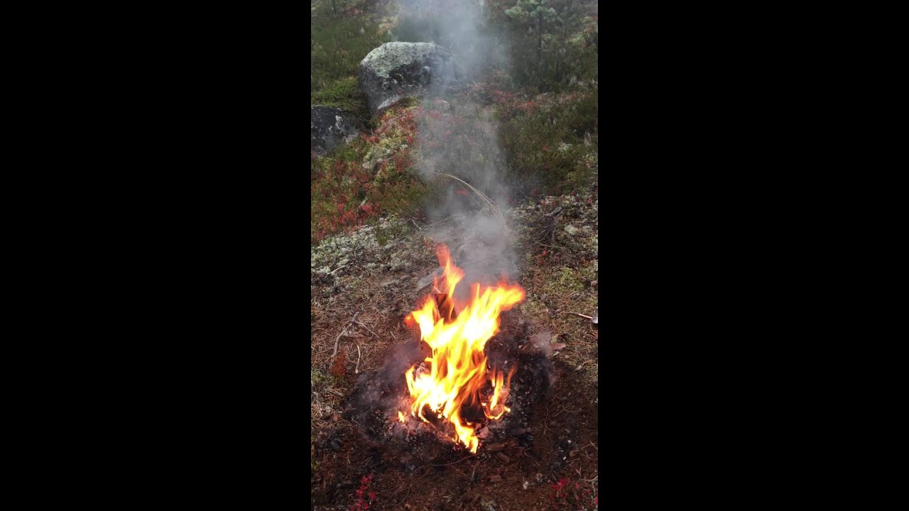 #h&ouml;stdag #skogen #Innansj&ouml;n #&aring;terh&auml;mtning