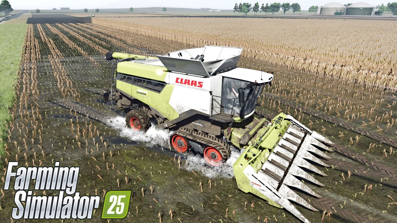 FS25 Realistic Graphics | MAIZE HARVEST in extreme wet soil conditions | Claas Lexion 8600 | Reshade