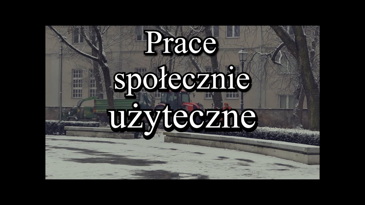 Prace społecznie użyteczne - śladami wyroku Kelthuza