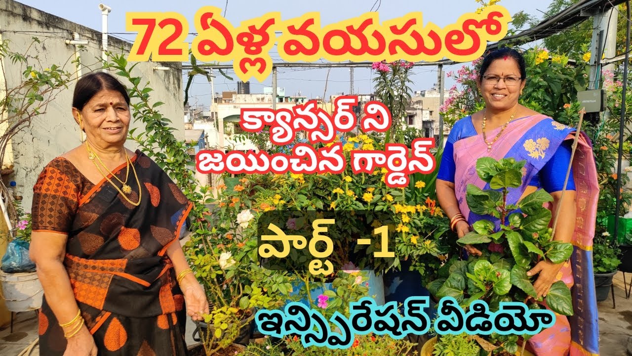 72 ఏళ్ల వయసులో క్యాన్సర్ని జయించిన గార్డెన్#@AadiLakshmi terres garden#inspiration video#
