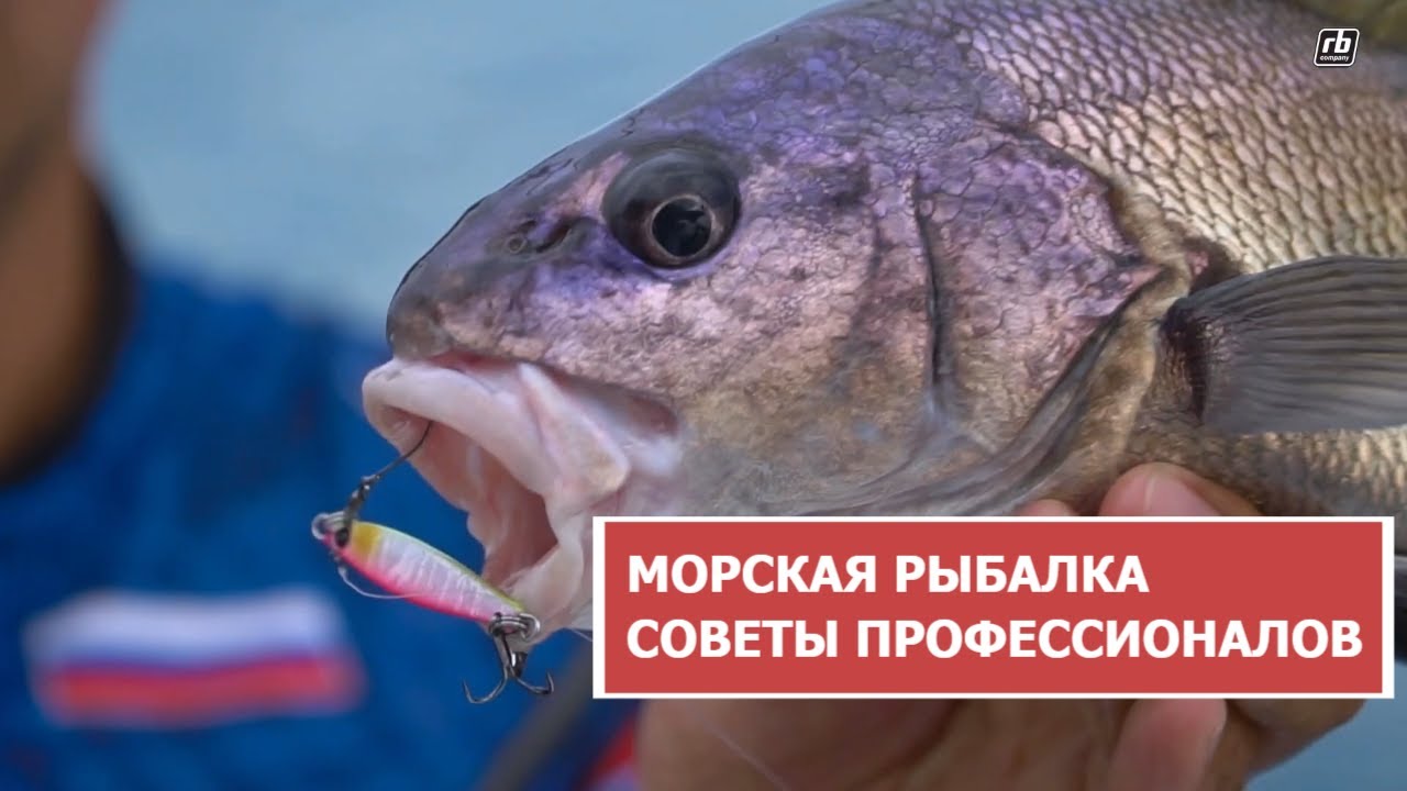 МОРСКАЯ РЫБАЛКА  СОВЕТЫ ПРОФЕССИОНАЛОВ часть 2