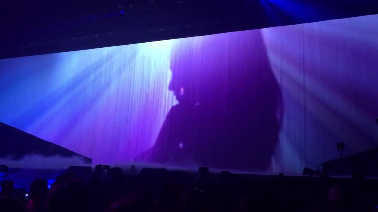 baby loves interlude / dwt denver