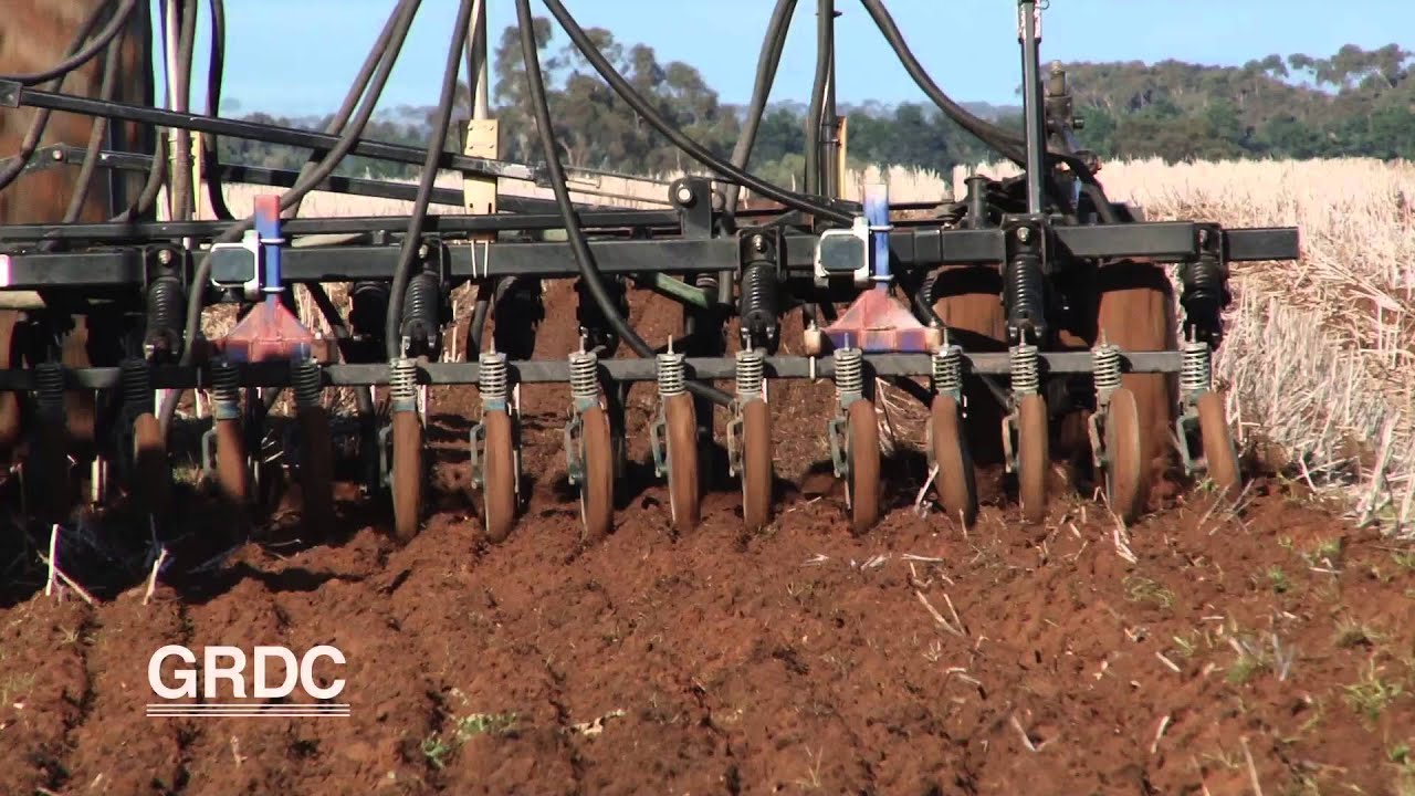 GCTV19: Different Seeders Different Yields. Local R&D - valuable solutions for HRZ grain growers.