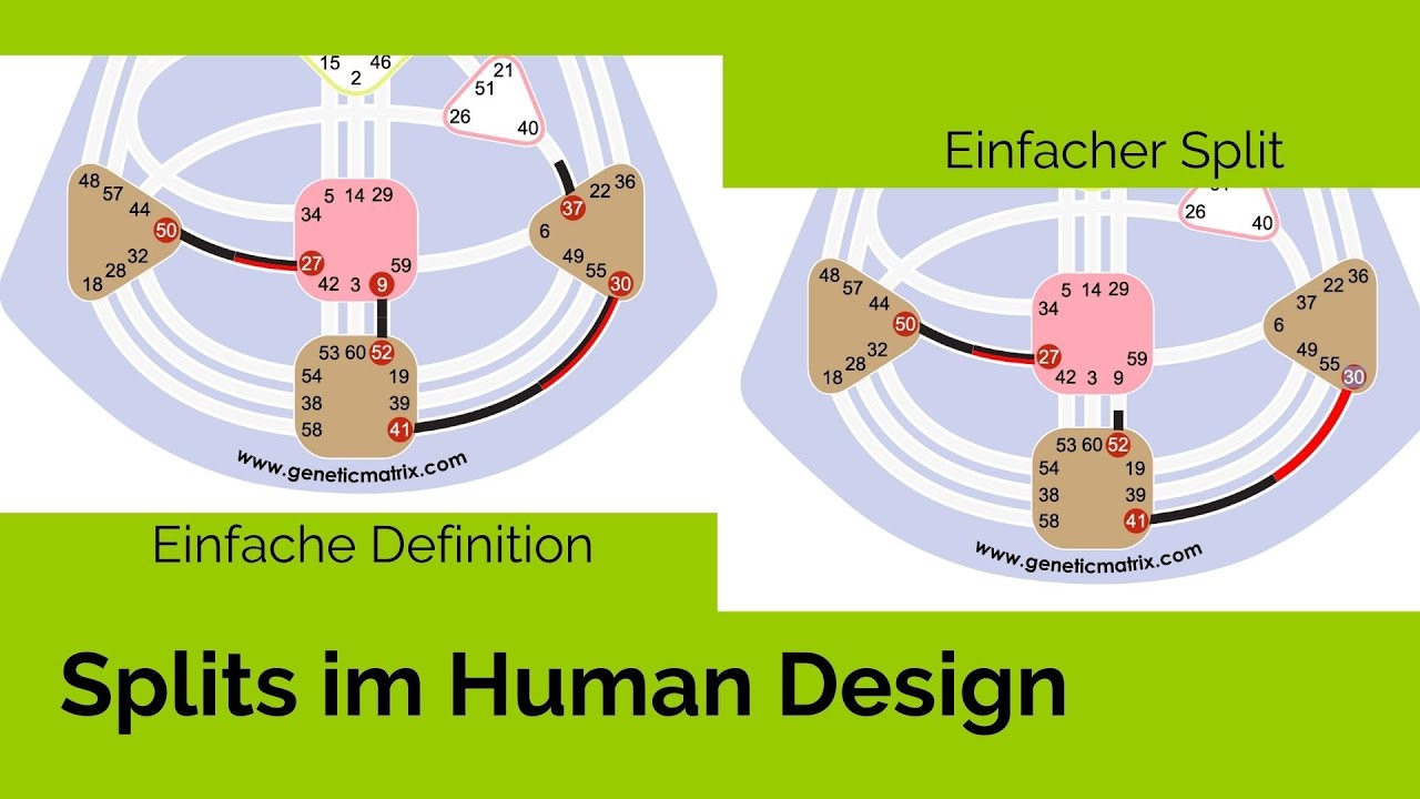 Definitionen im Human Design - inkl. einfacher Split, Dreifach- und Vierfach-Split