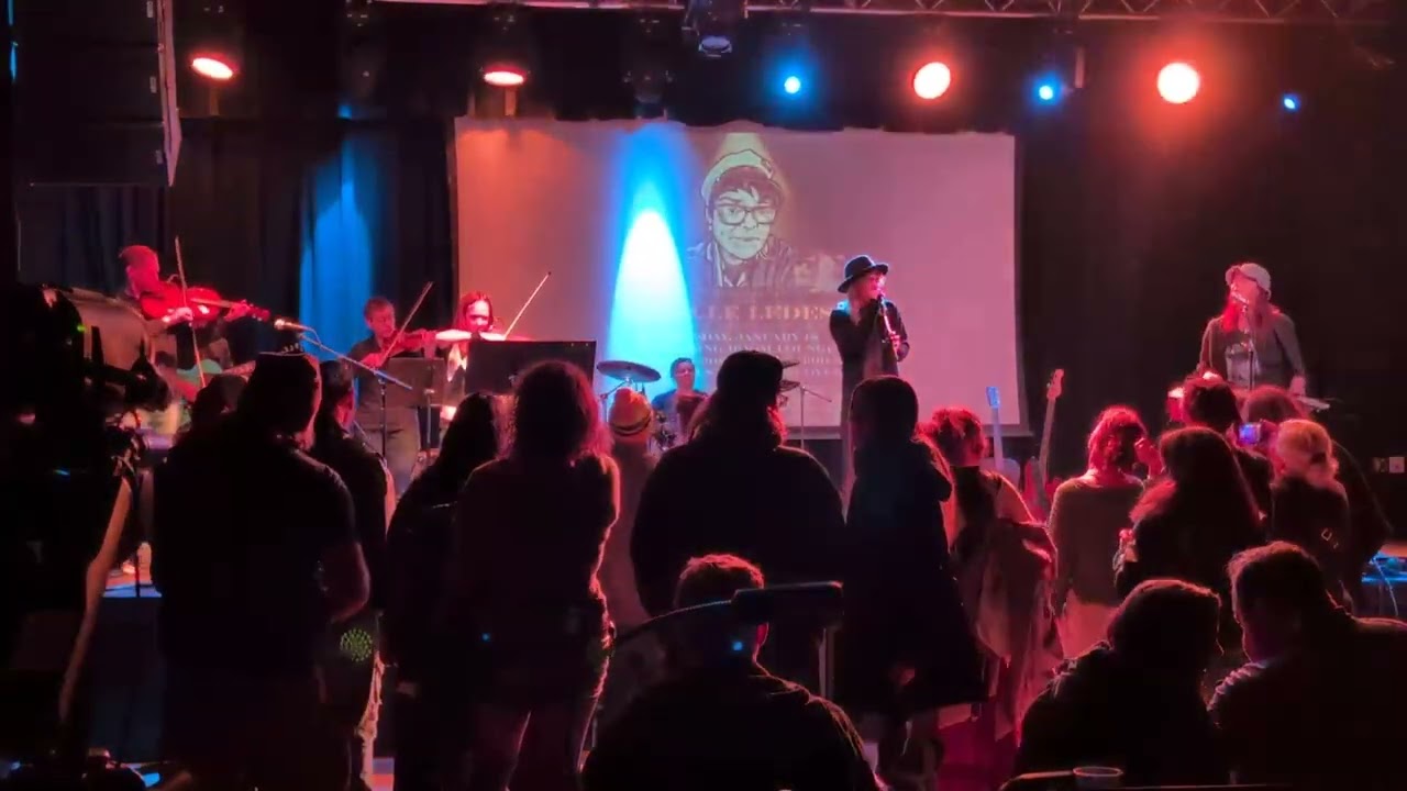 Space Oddity  (David Bowie cover) with string quartet