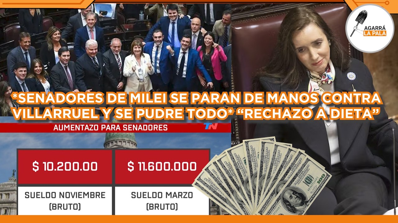 SENADORES DE MILEI CRUZAN A LA TRAIDORA VILLARRUEL Y SE PUDRE TODO: 