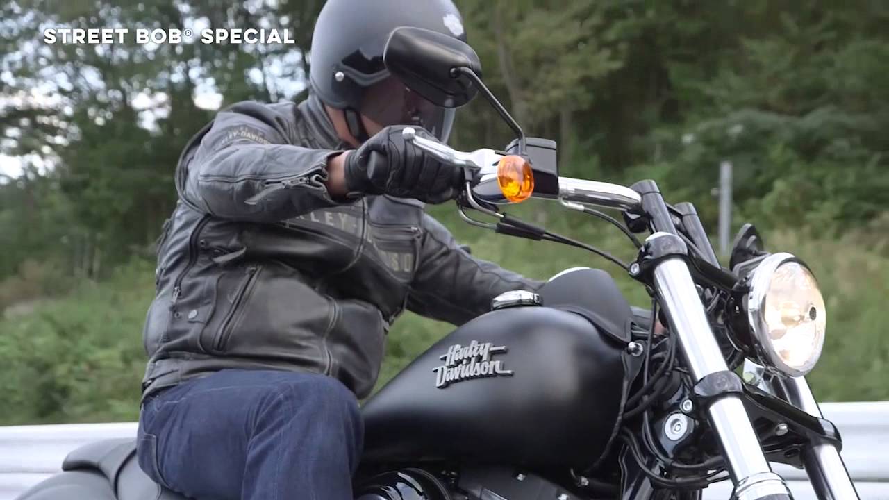 Harley-Davidson 2016: DYNA® FAMILY