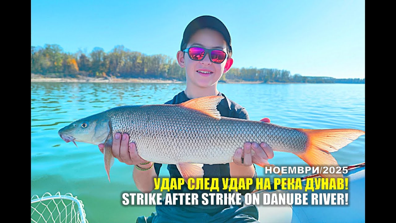 Удар след Удар! Брутален риболов! Strike after struke! Brutal fishing! Р. Дунав/Danube river