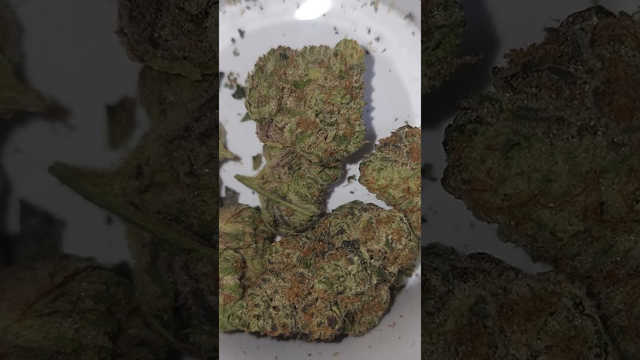Wedding Cake Gelato