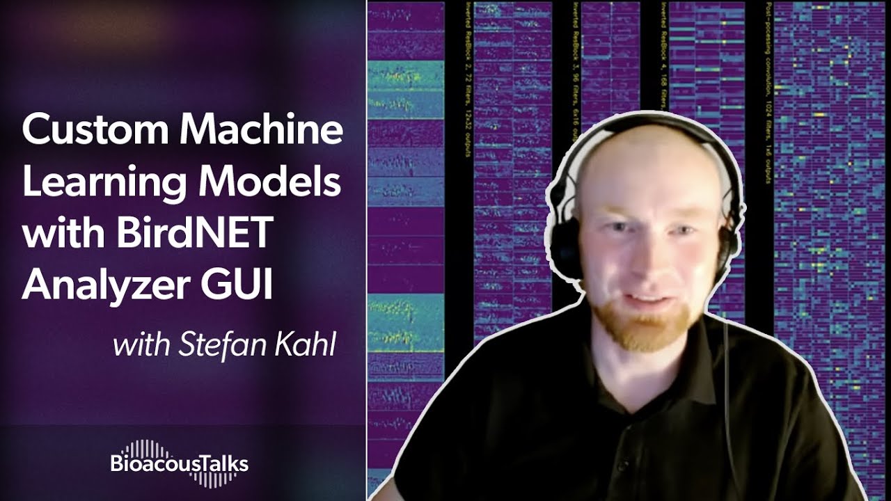 BioacousTalks: Custom Machine Learning Models with BirdNET Analyzer GUI