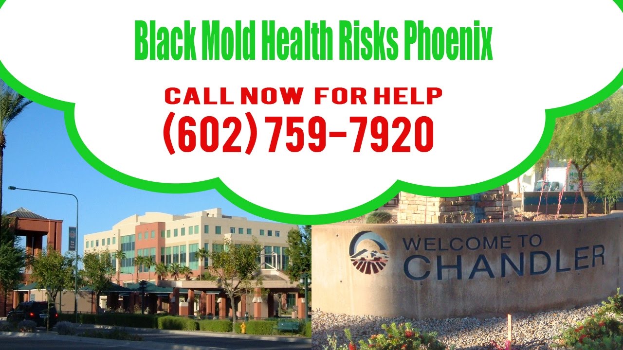 Black Mold Health Risks Phoenix (602) 759-7920