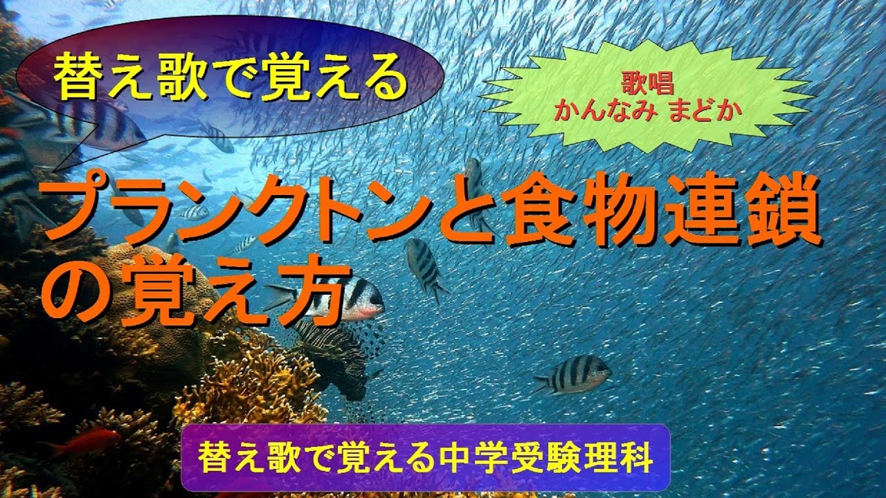 【替え歌で覚える】プランクトンと食物連鎖の覚え方（歌唱：かんなみ まどか）