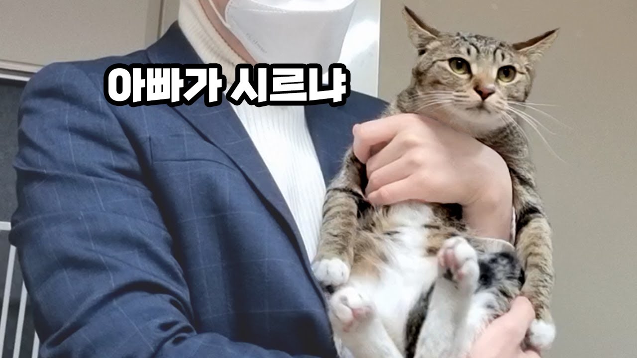 멋 좀 부렸더니 자식들이 몰라봐요