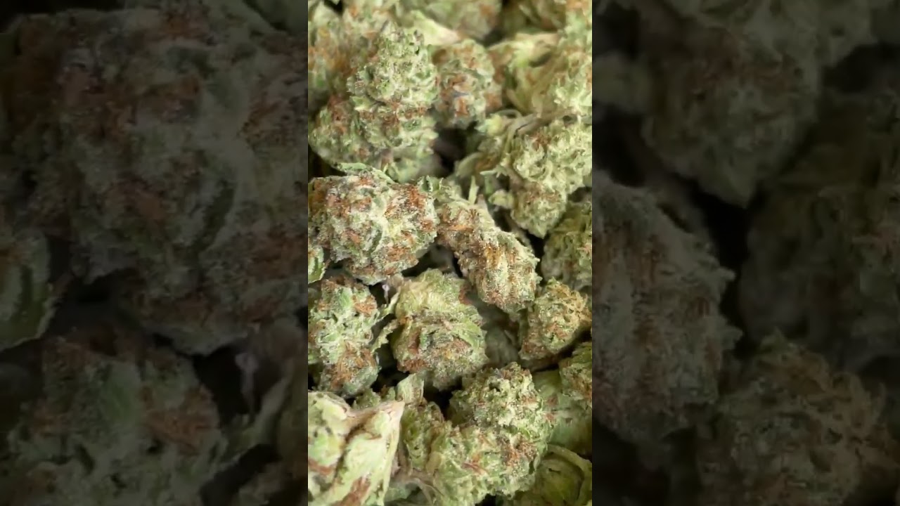 Black Afgoo Indica A Indoor Mediums THCa flower MP4