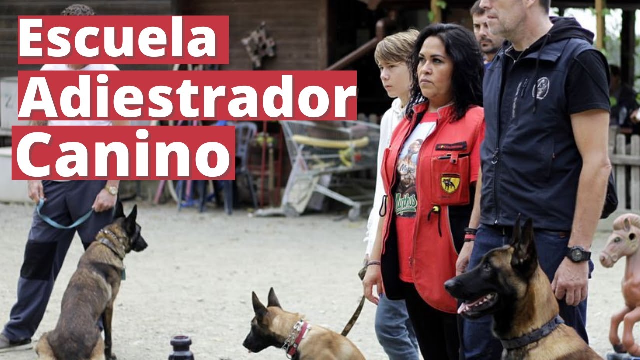 Escuela de adiestramiento canino · Curso de adiestrador canino básico y avanzado · Los Guardianes