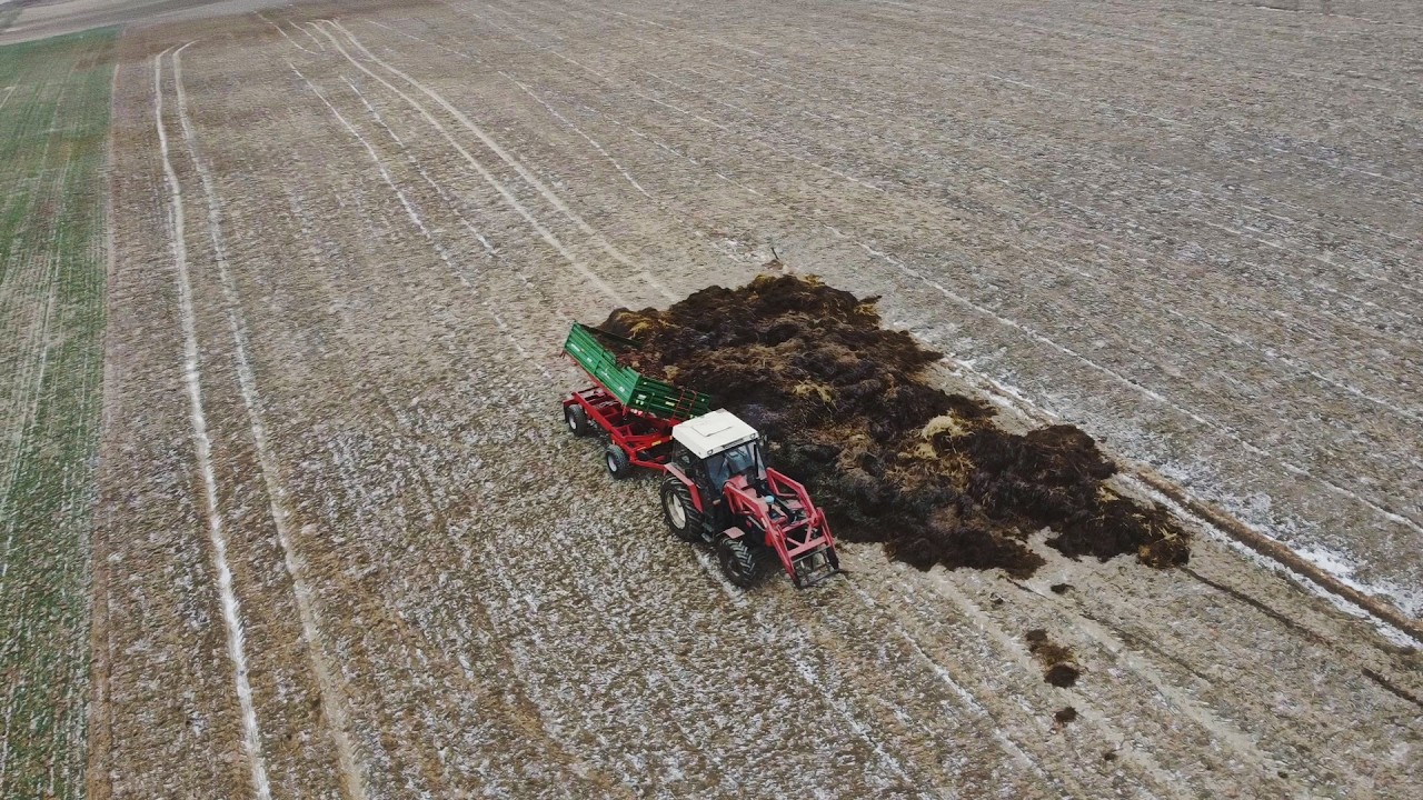 ||Wywóż obornika na pryzmę 2k26 ||Zetor 7745 & Proxima 110 Power |Autosan D-47|Case96||