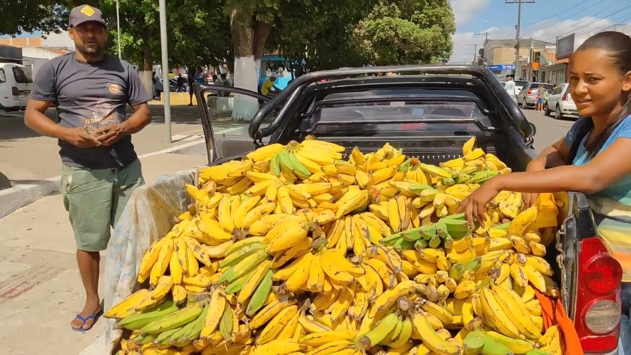 Feira de Estrela de Alagoas. Estado de Alagoas 09/11/2024 #nordeste - Brasil
