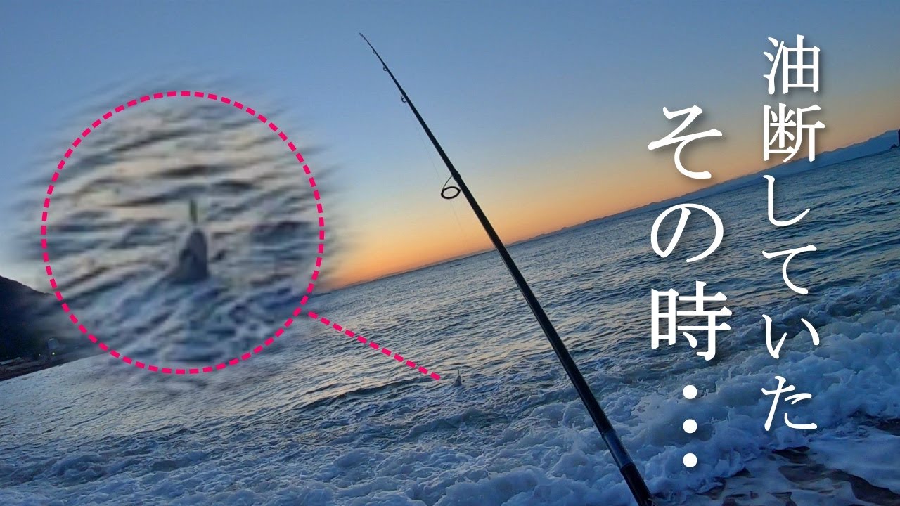 どうしても釣りたい魚がいるので、1日かけ磯やサーフを歩き回った結果…