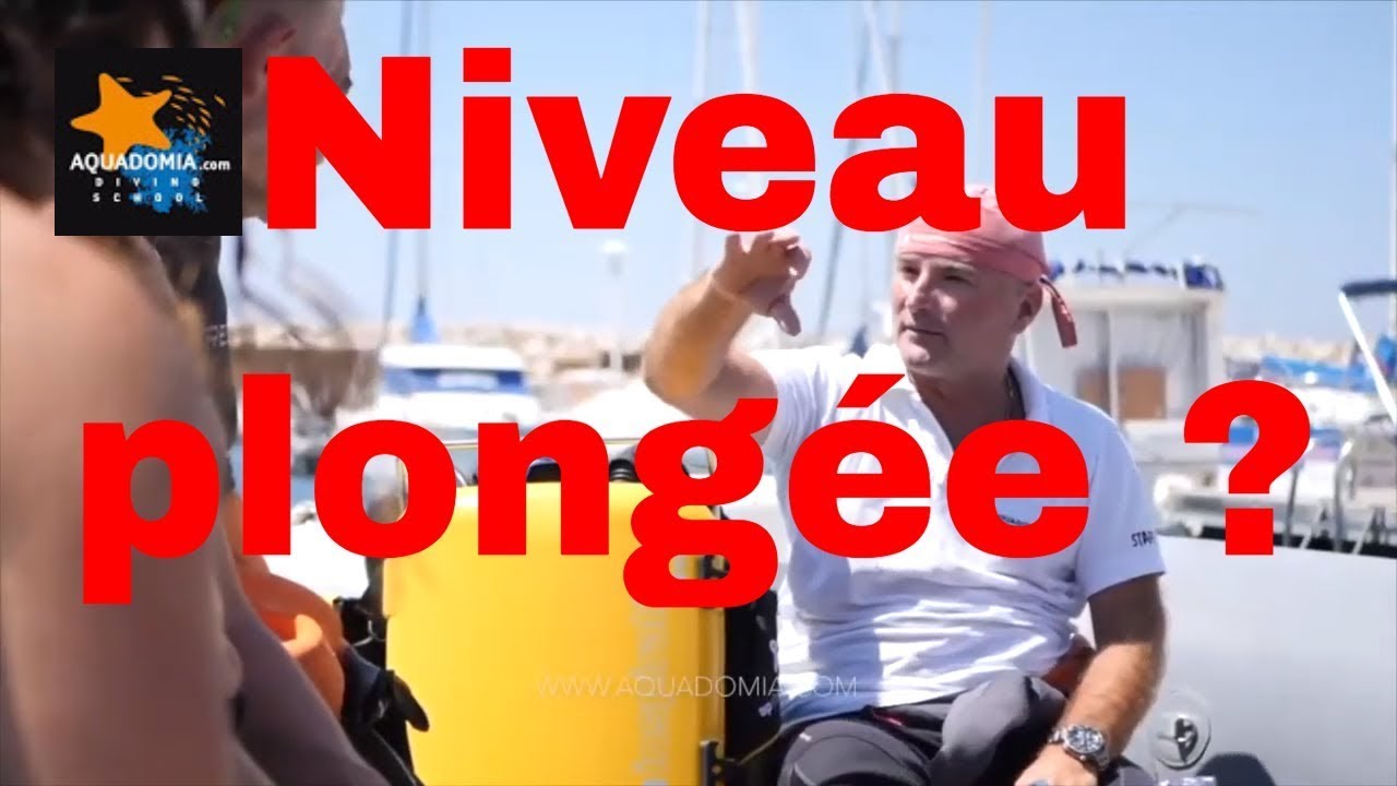 Quel niveau 1 2 3 plong&eacute;e ? S'y retrouver et comprendre !