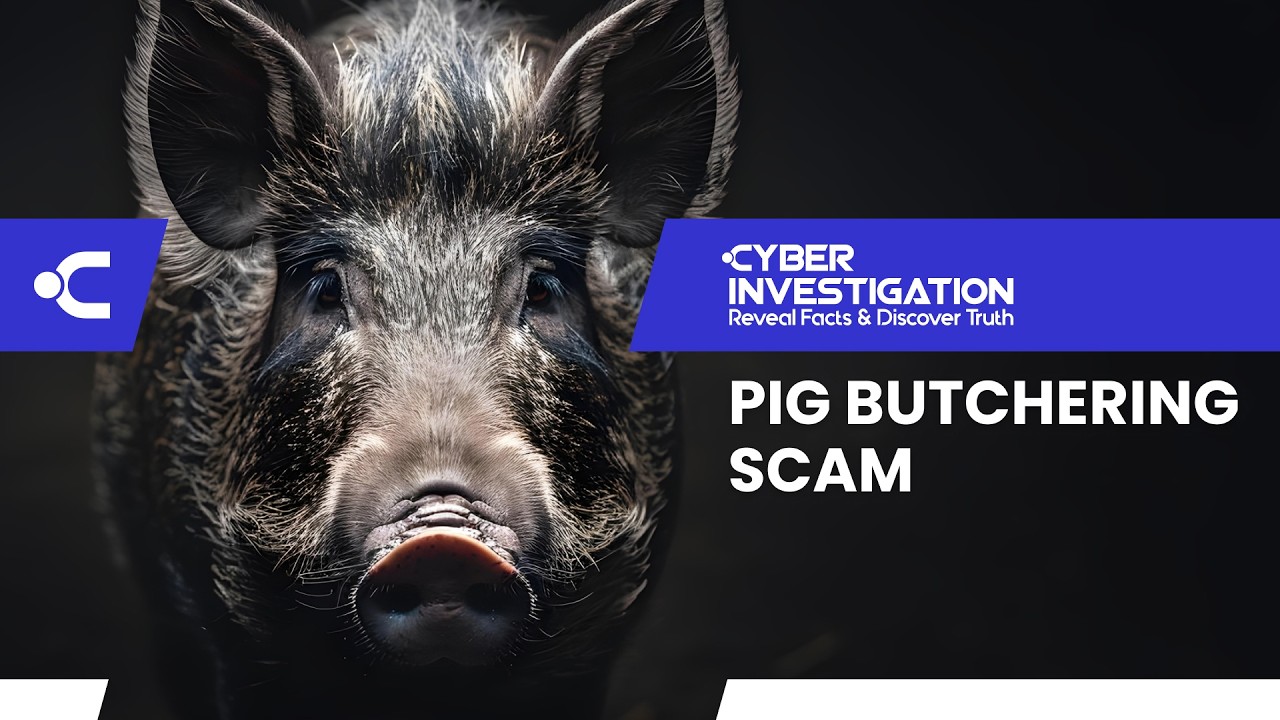 Pig Butchering Scams: The Silent Crisis Stealing Millions from the Vulnerable
