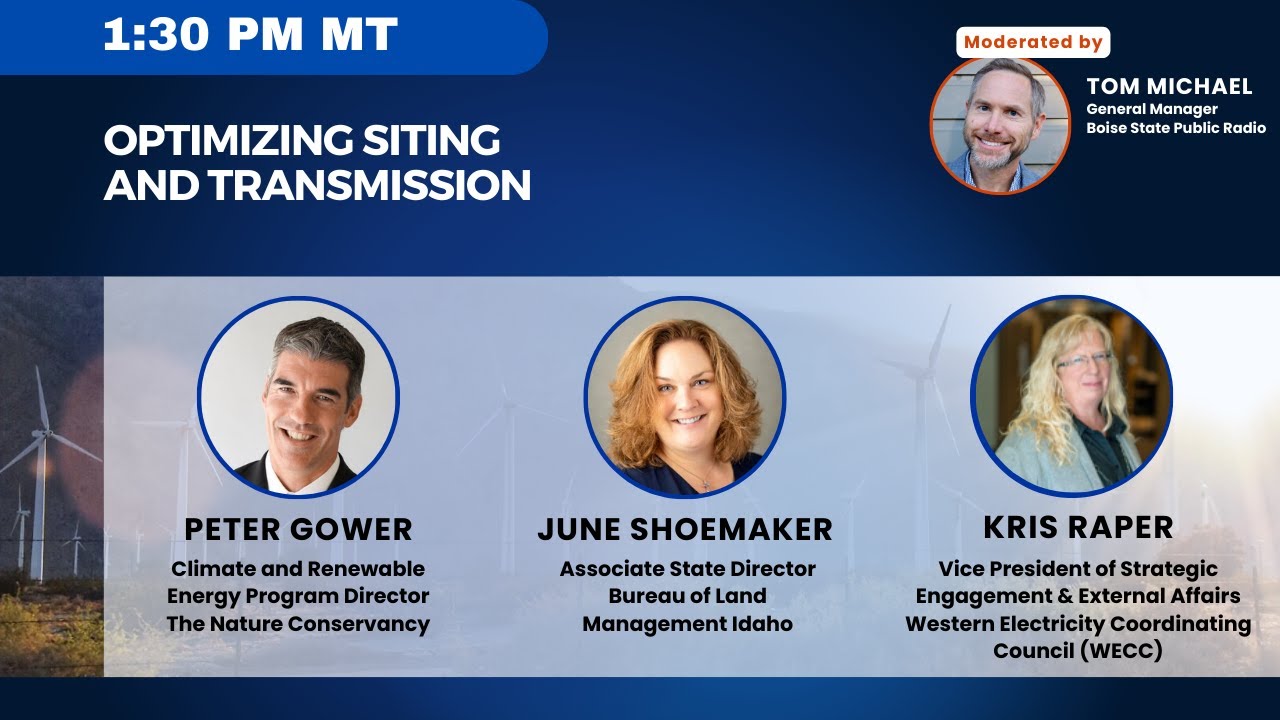 Panel: Optimizing Siting and Transmission