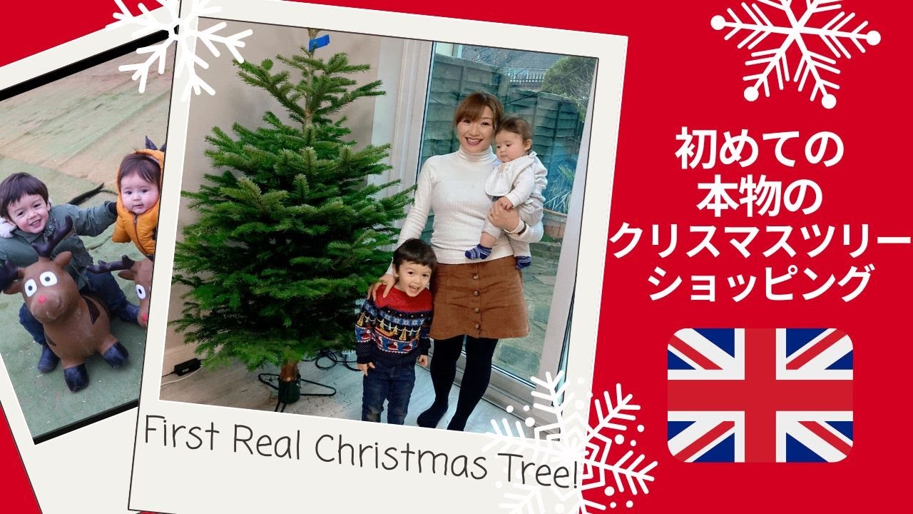 初めての本物のクリスマスツリーショッピング！SHOPPING FOR A FIRST REAL CHRISTMAS TREE! 国際結婚 | 海外育児 | イギリス生活 | 2児ママ