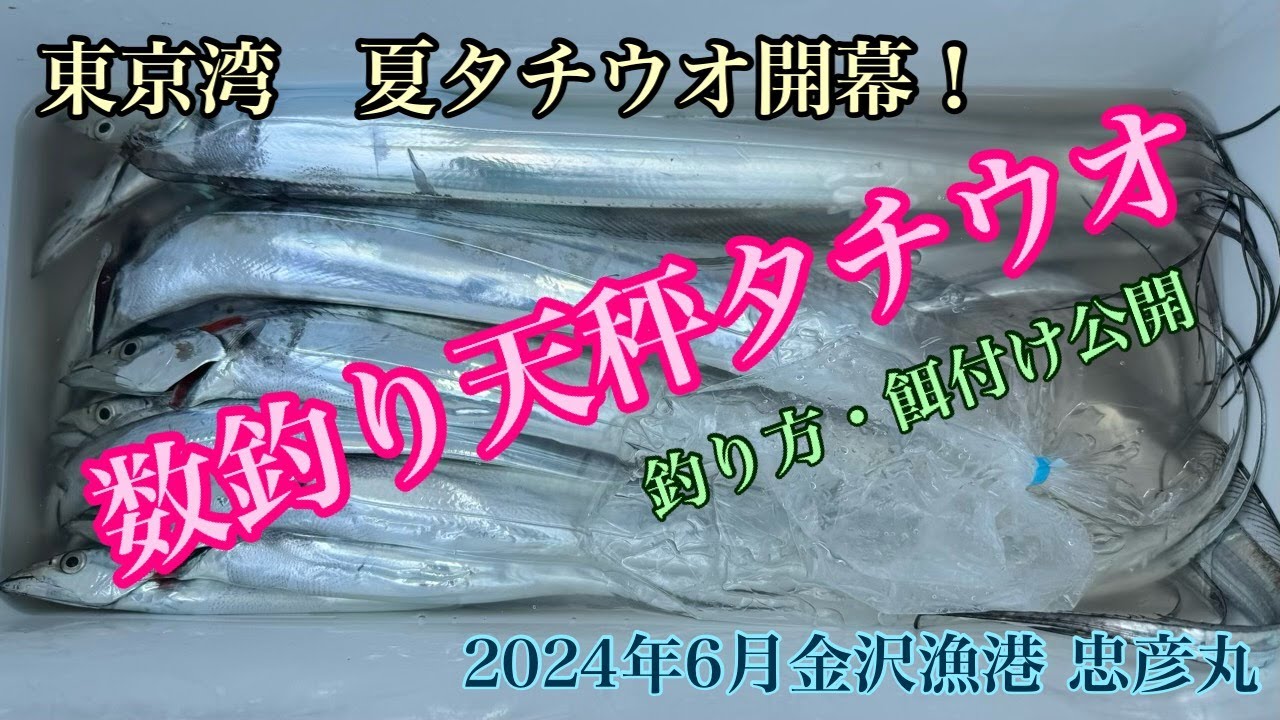 夏タチウオ開幕！！！天秤タチウオで数釣り！（金沢漁港　忠彦丸）4K