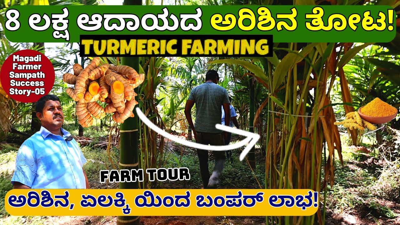 FARM TOUR-ಅರಿಶಿನ, ಏಲಕ್ಕಿ ಯಿಂದ 8 ಲಕ್ಷ ಲಾಭ ಮಾಡುವ ತೋಟ ನೋಡಿ!E05-Magadi Sampath-Kalamadhyama-#param