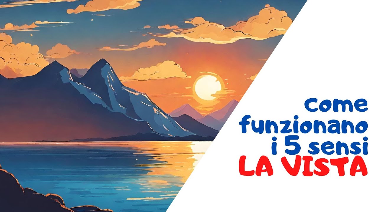 La vista - Come funzionano i 5 sensi?