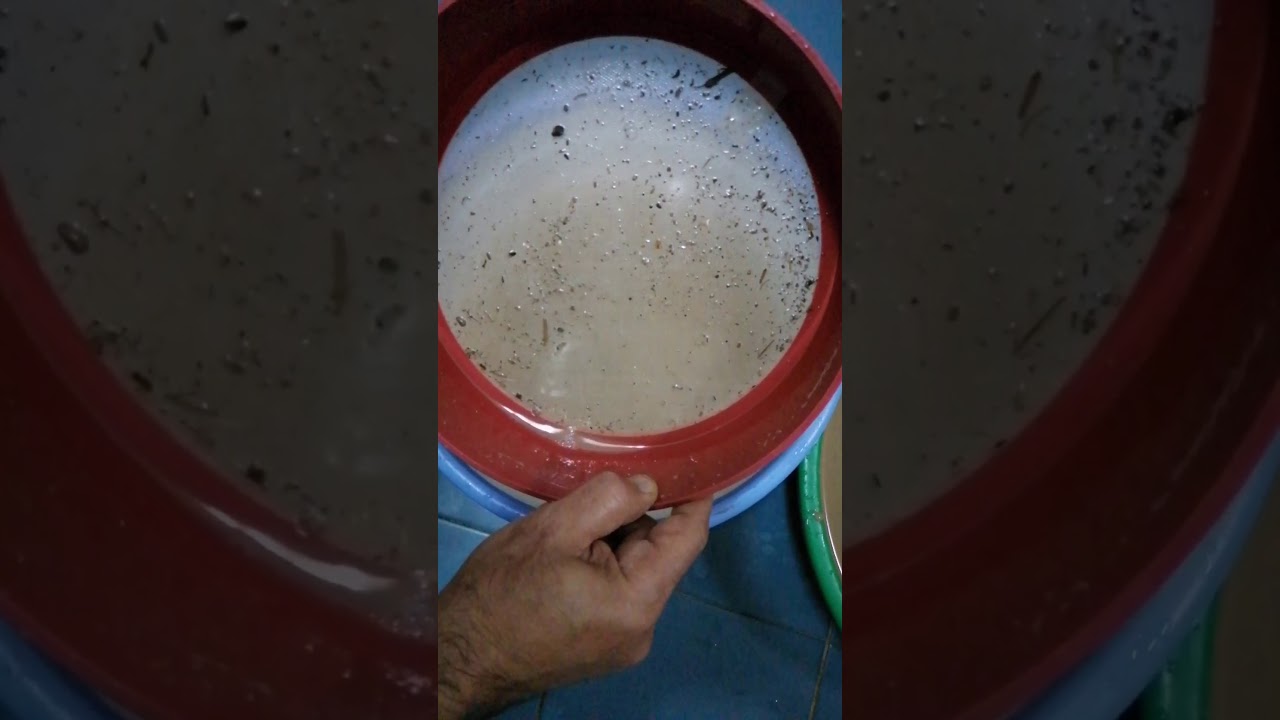 طريقة عمل عجينة التربة والسبحة الحسينية