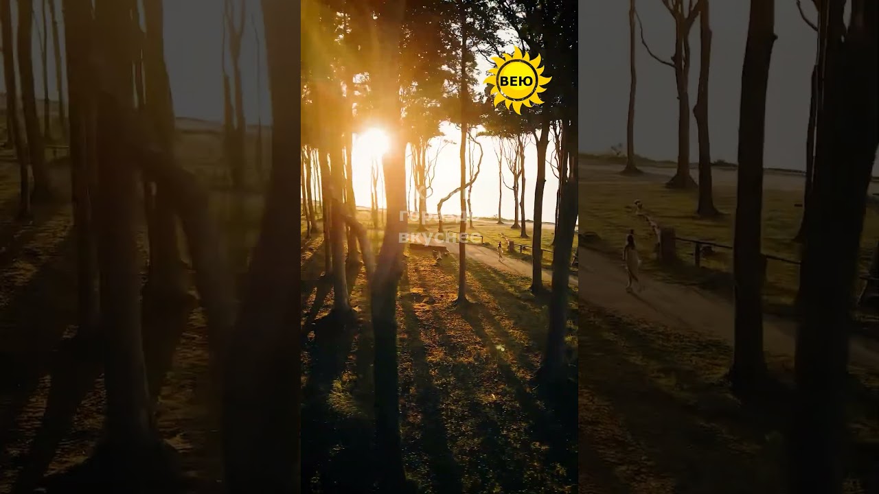 Не теряй себя#shorts# #shotrs #facts #shortsfeed #travel #sort #shortsvideo #coffee #отдых #душа