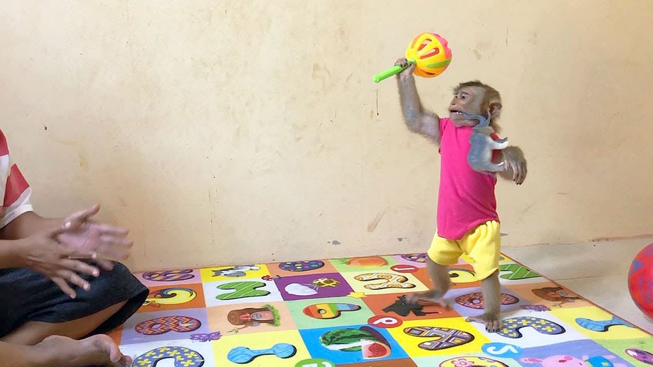 Jason Gentle Dancing Nonstop Excited With New Rattle