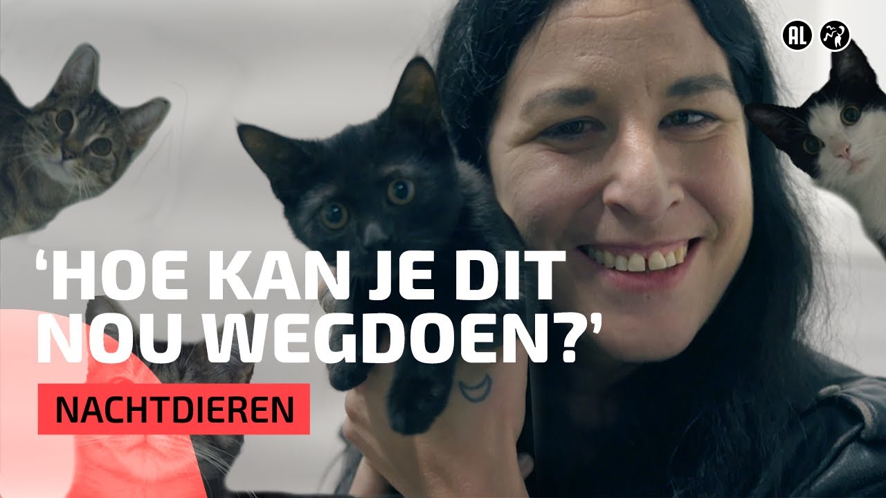 Raven bezoekt een overvol kattenasiel in Amsterdam | Nachtdieren