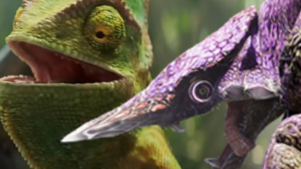 When that MHR Chameleos theme drops