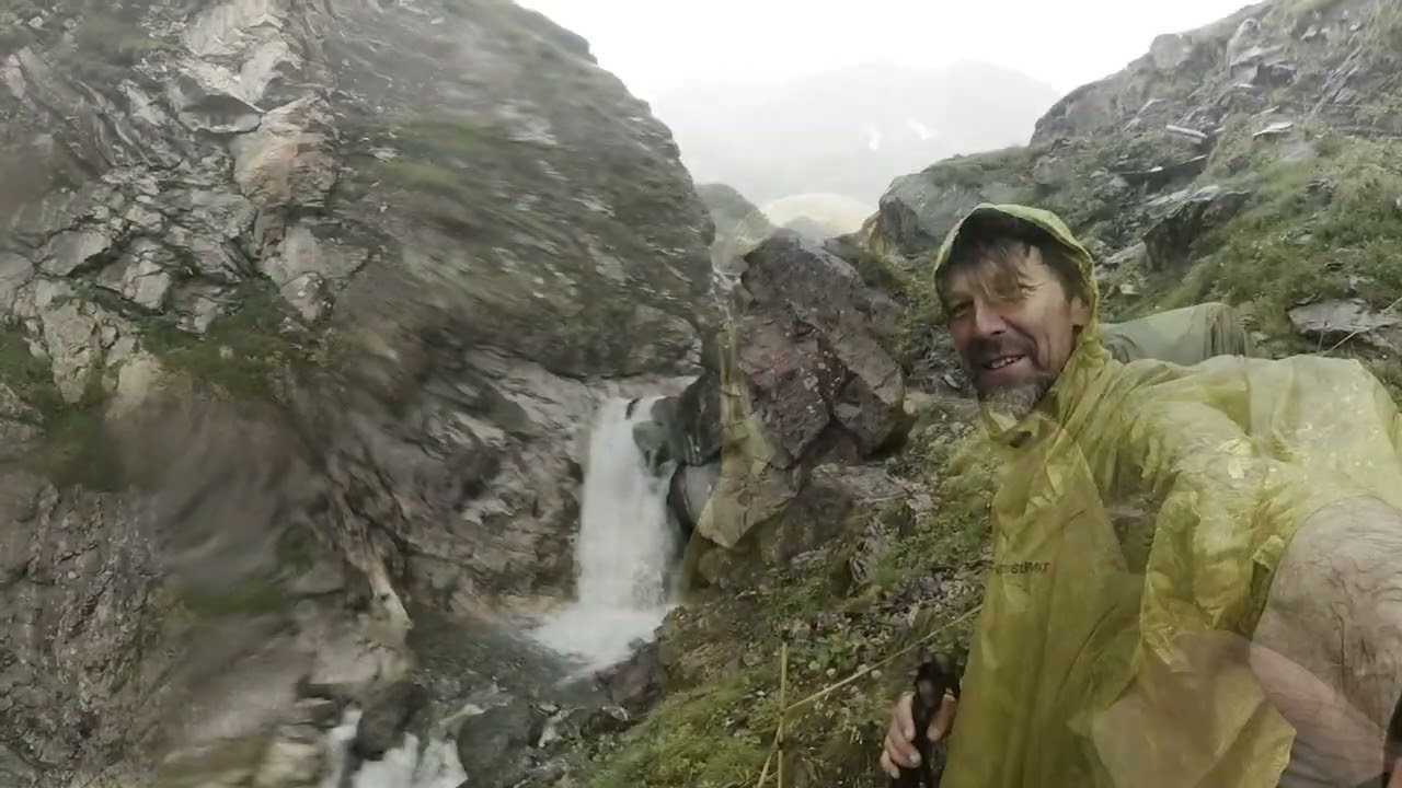 Tag59 Elm Weisstannen