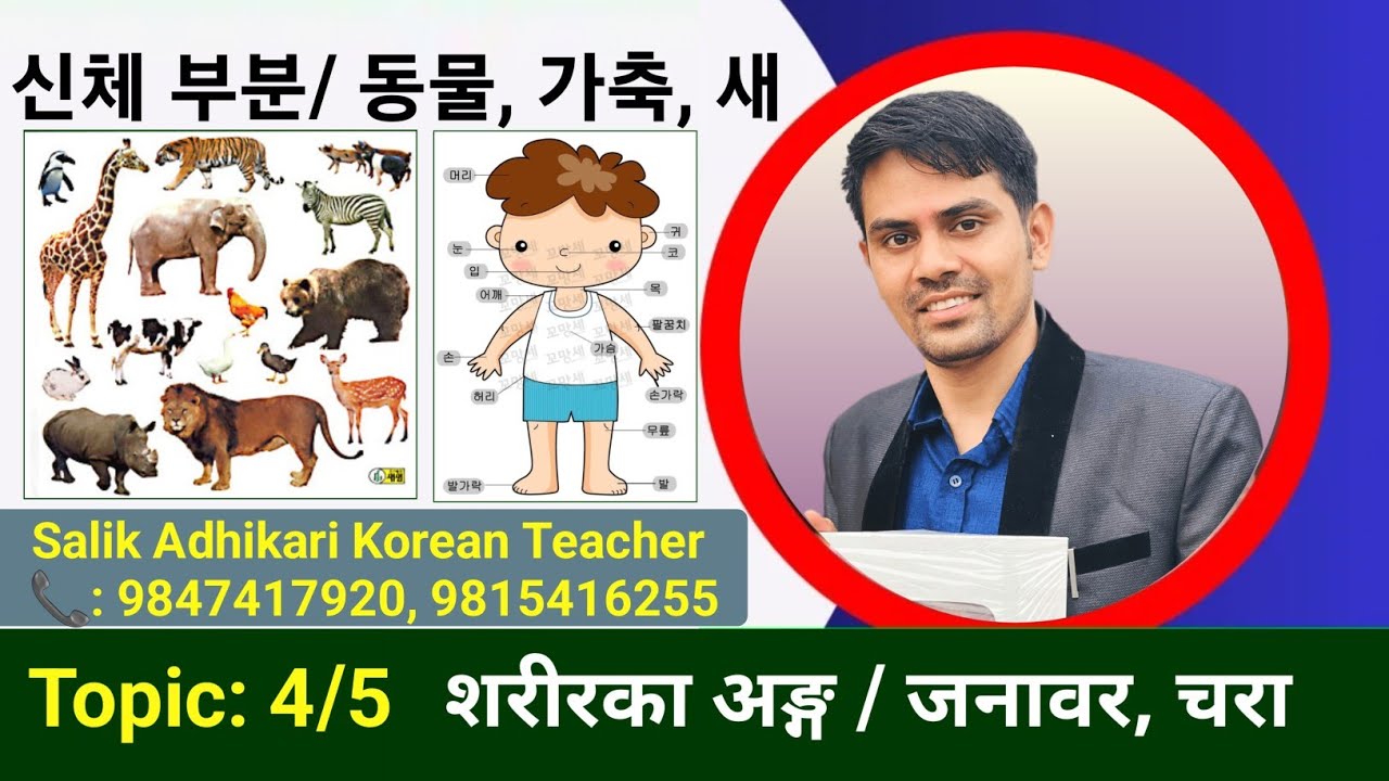 신체 부분, 동물, 가축, 새 | कोरियन भाषा पास गर्नको लागि महत्त्वपूर्ण मिनिङ | Salik Adhikari Korean Teacher