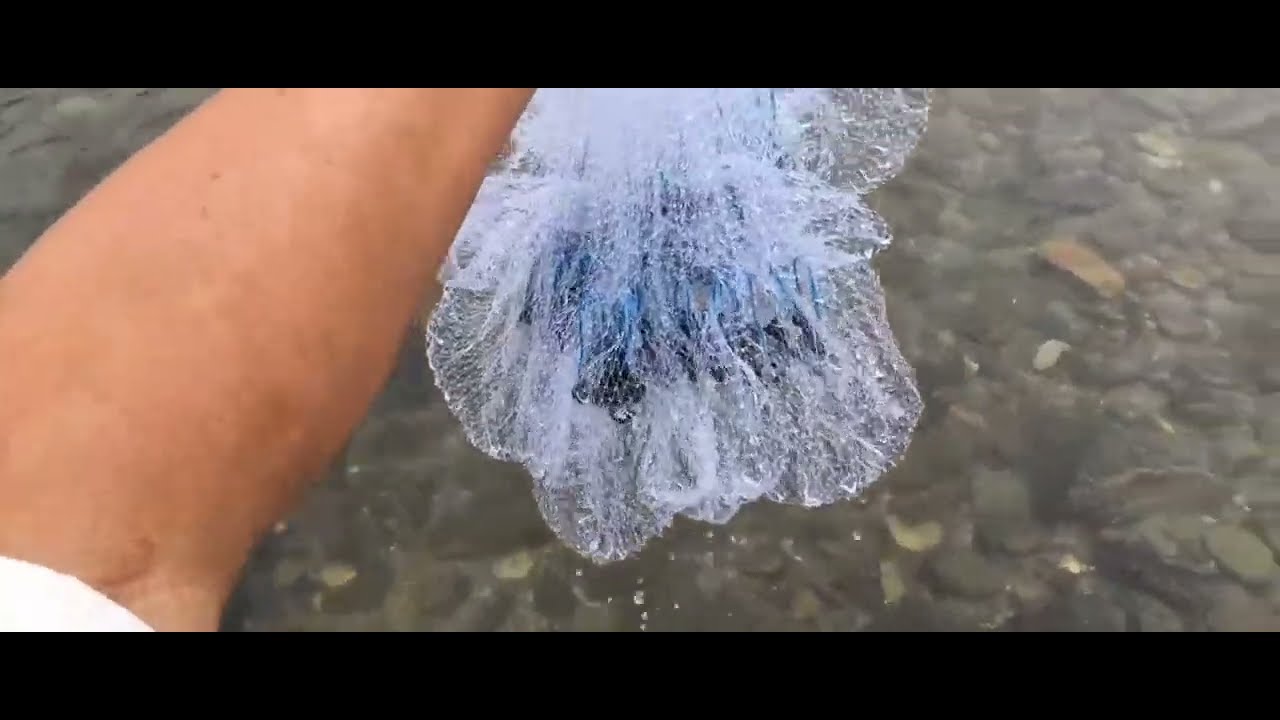 खै हजुर खाेलामा माछा मारना सकिँदैन bikram ghale RsTv २०८२