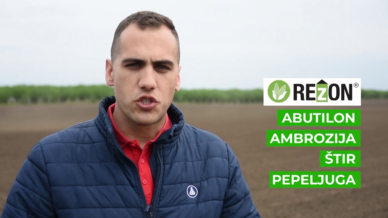 Preporuke za zastitu kukuruza, Galenika Fitofarmacija - U nasem ataru 736