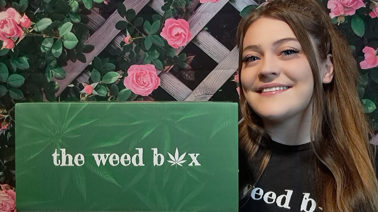 The Weed Box August 2024 Dino Box Unboxing