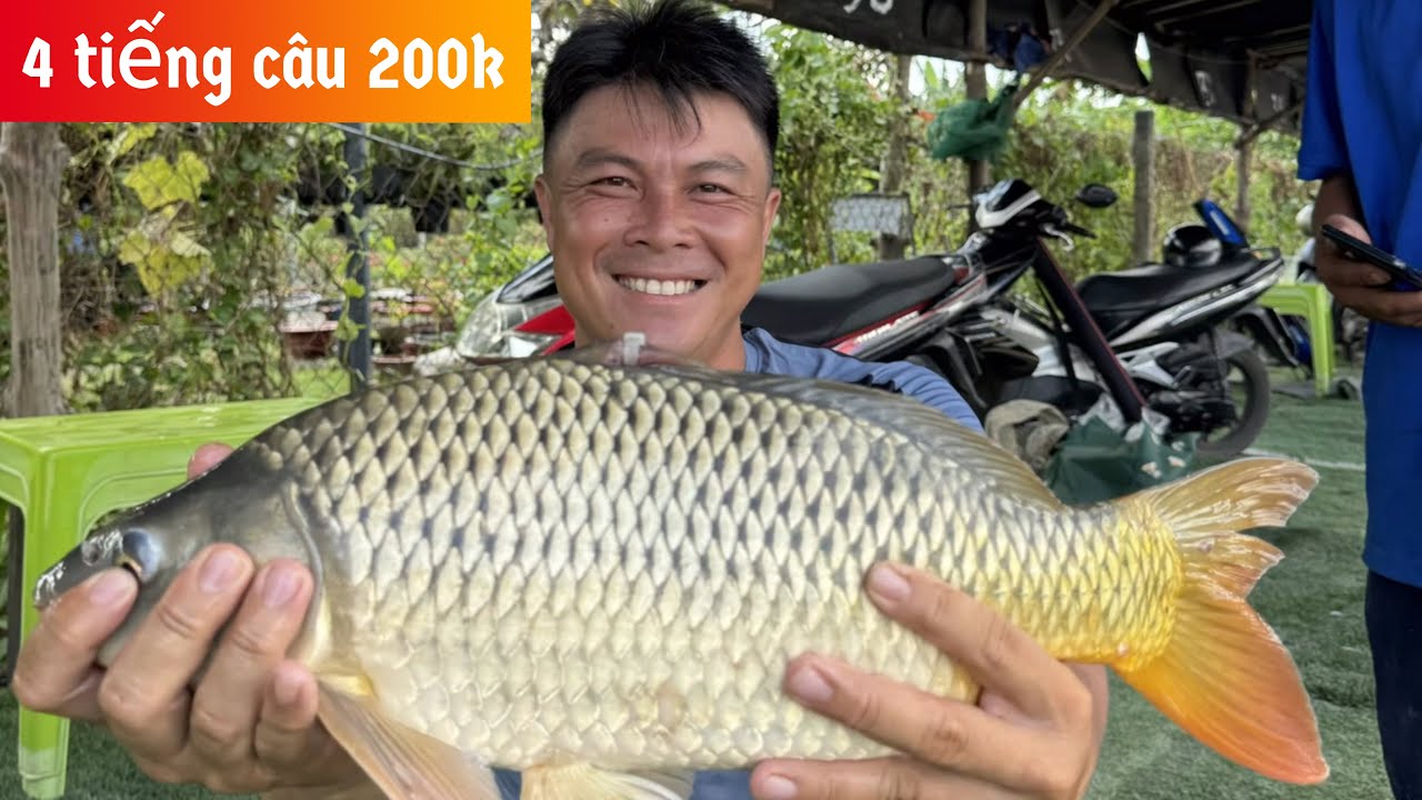 ✅ Câu cá chép, cá rô phi bự bự, Quận 12, Sài Gòn | DUY FISHING