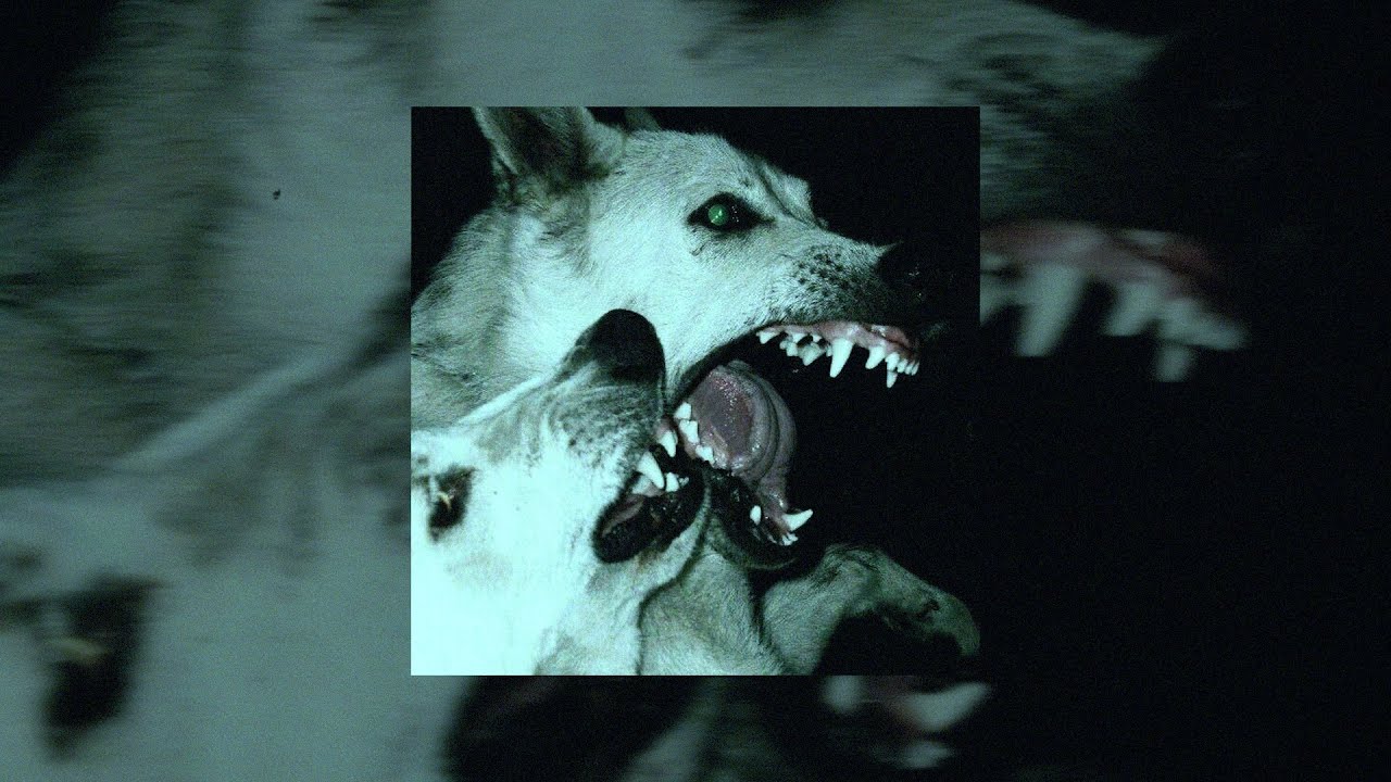 [FREE] Bones type beat 