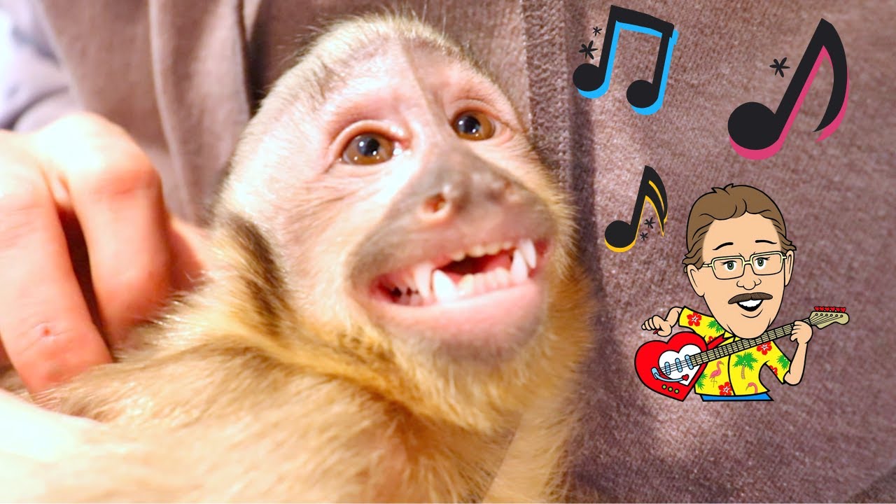 MonkeyHappy - You Make Me Happy (Official Music Video)