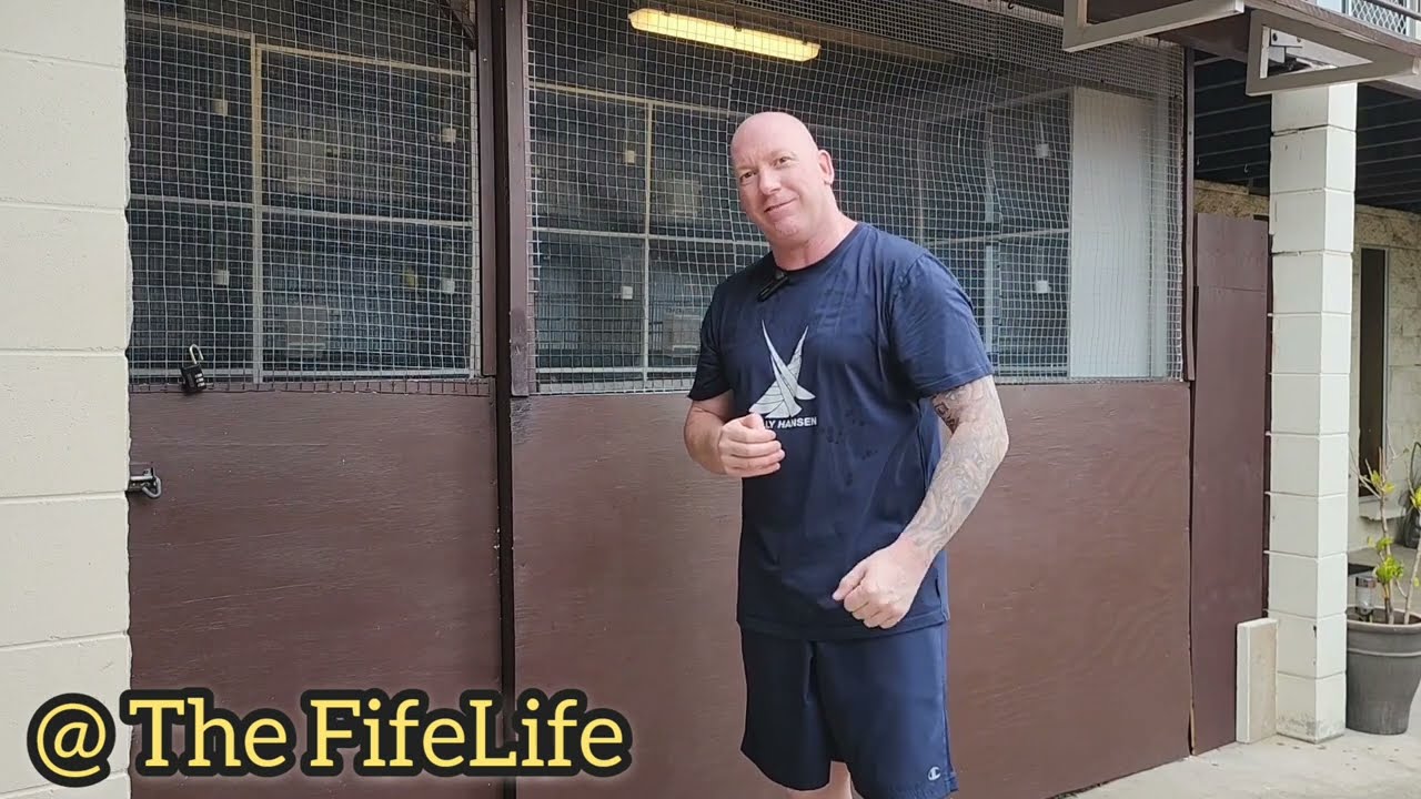 The FifeLife Journal 2 