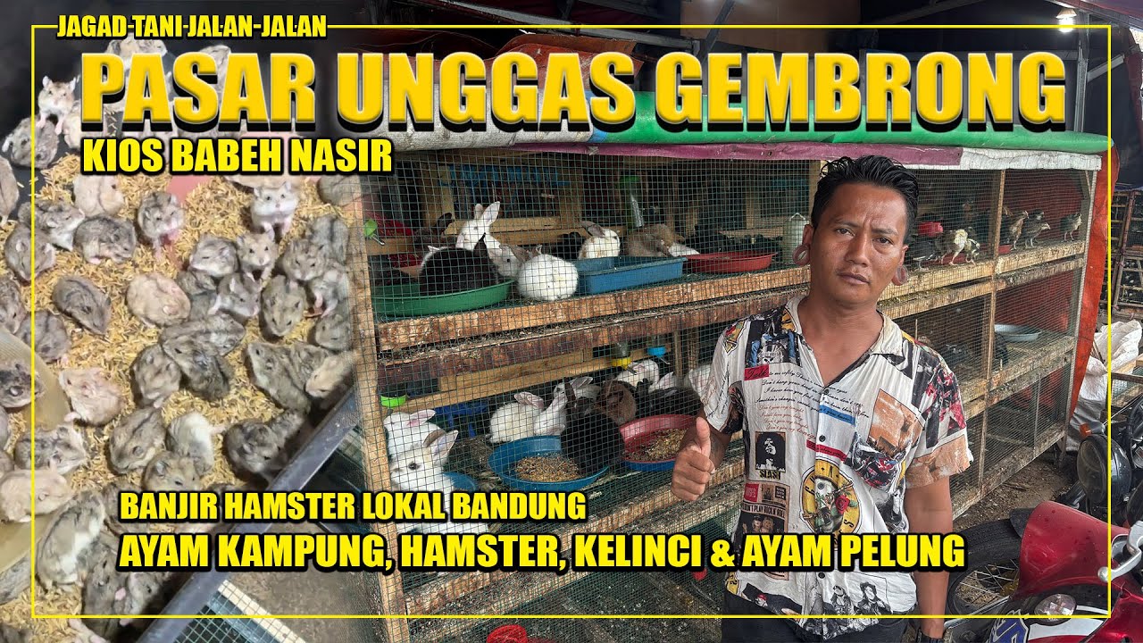 KIOS BABEH NASIR PASAR GEMBRONG BANJIR HAMSTER