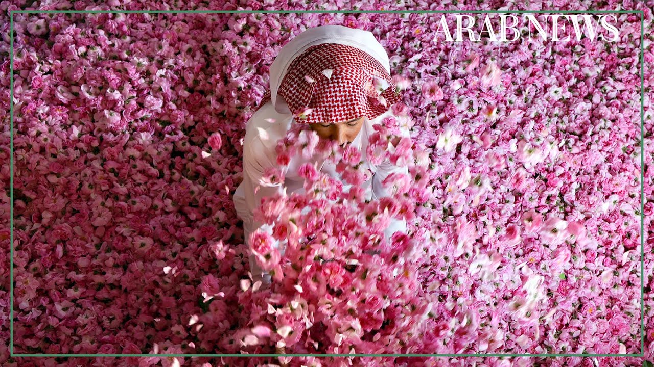 Saudi Arabia's city of roses blooms in Ramadan