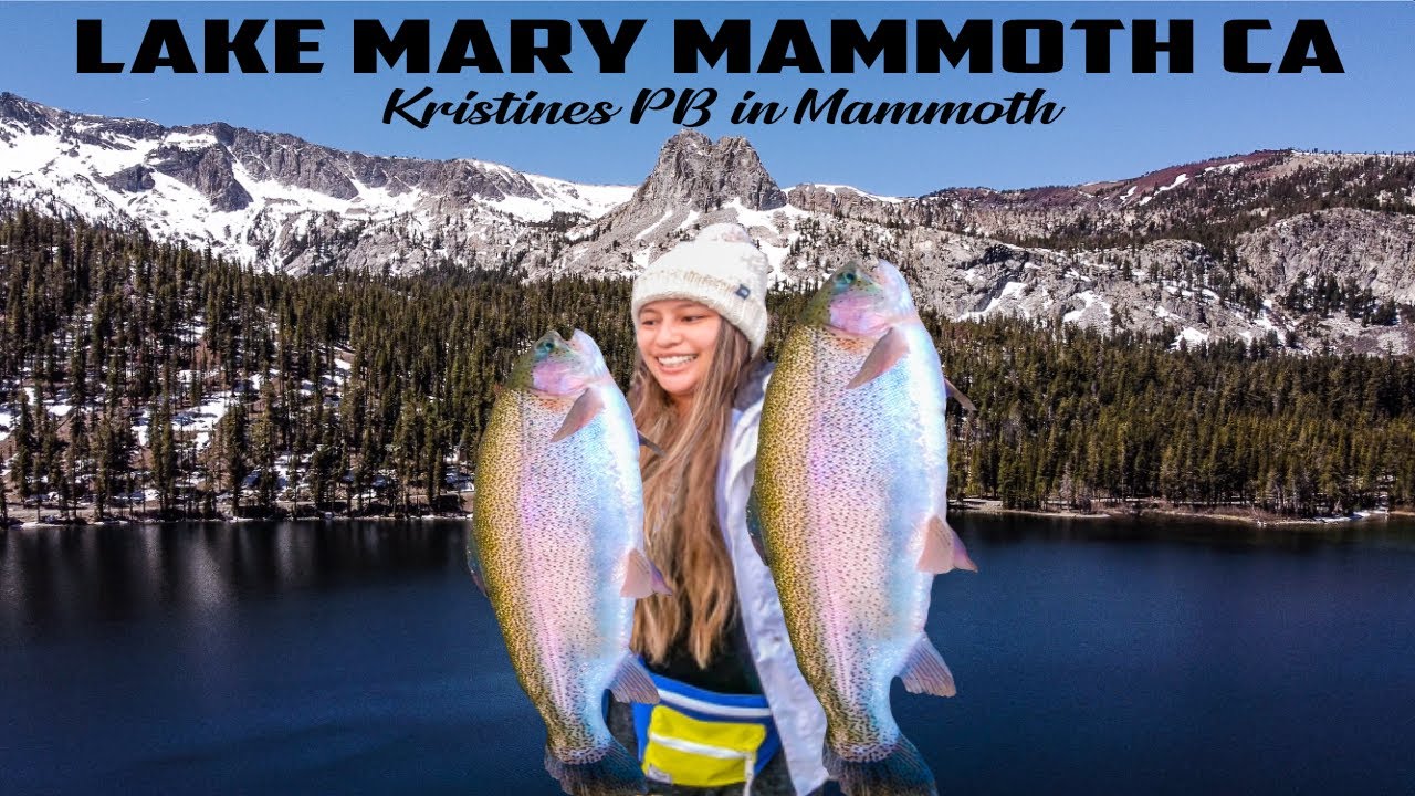 LAKE MARY | PERSONAL BEST | DOG BITE | MAMMOTH LAKES