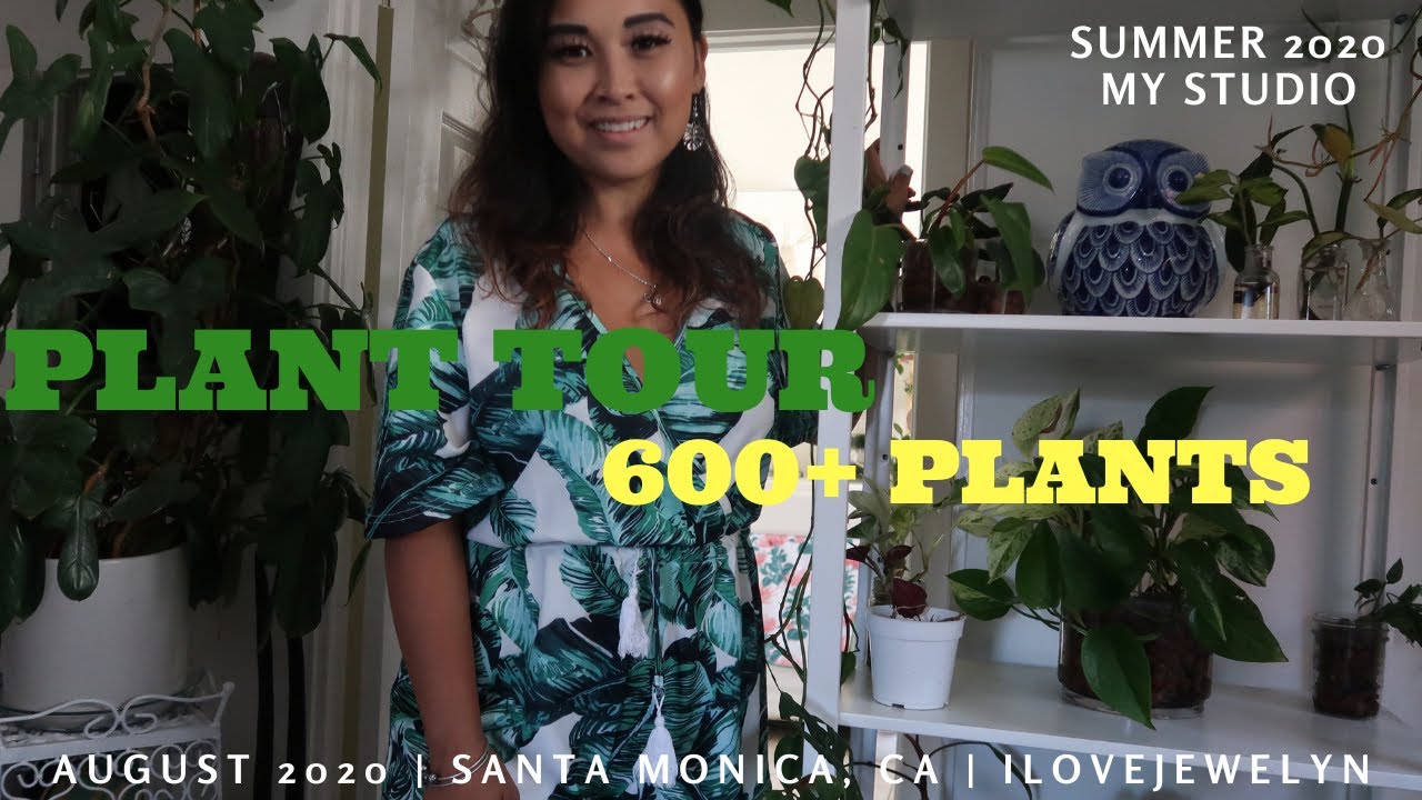Summer plant tour 600+ plants: My studio | August 2020 | ILOVEJEWELYN